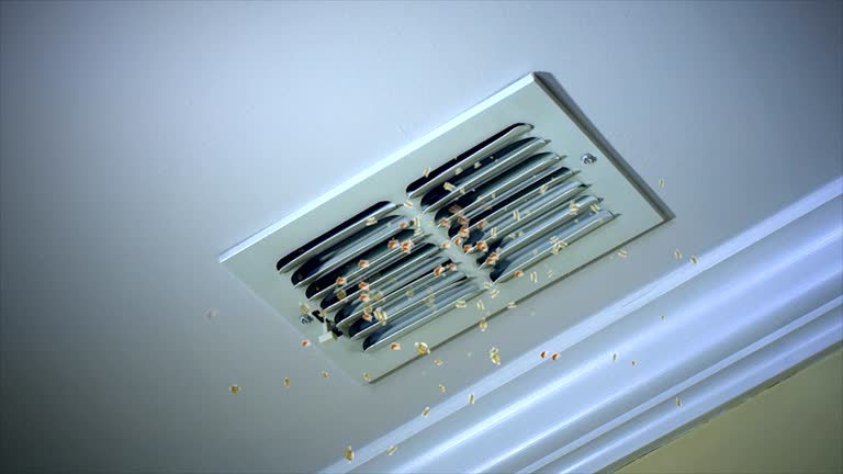 Best Air Duct Cleaning Near Me  in Piedmont, AL