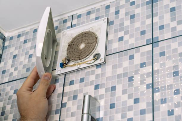 Air Duct Mold Removal in Piedmont, AL