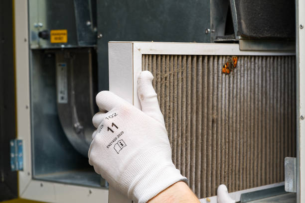 Best Air Duct Mold Removal  in Piedmont, AL