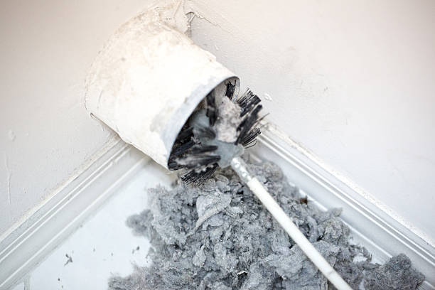 Best Affordable Air Duct Cleaning  in Piedmont, AL